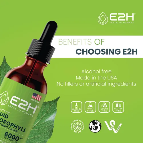 Miniatura 6 de E2H - Gotas líquidas de clorofila, estimulante de energía natural, apoyo al sistema inmunológico y desodorante interno, sabor a menta, 2 onzas