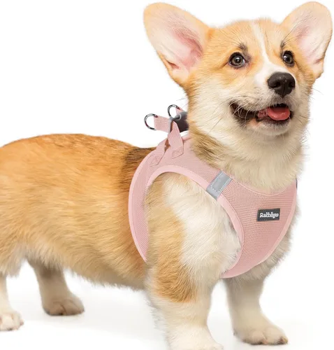 Miniatura 20 de rabbitgoo Arnés para perro pequeño, chaleco de malla suave para cachorros con hebilla de seguridad, arnés reflectante transpirable para mascotas