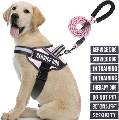 Miniatura 38 de Juego de arnés y correa para perro de servicio, arnés de entrenamiento para perro Animire con 10 parches para perros, correa reflectante para perro