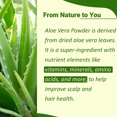 Miniatura 2 de minature 100% aloevera en polvo (Aloe Barbadenis) 3.53 oz (3.5 onzas) Polvo de hoja de aloe vera puro Hazlo tú mismo para la piel, la salud