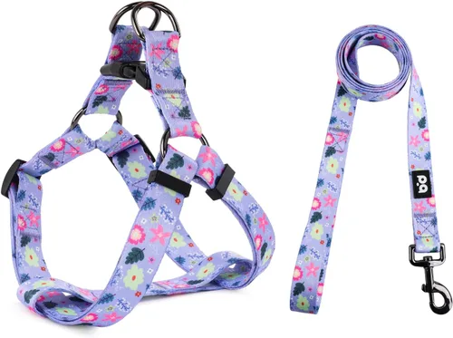 Miniatura 27 de QQPETS Juego de correa de arnés para perro, ajustable, resistente, sin tirones, arnés halter para perros de razas pequeñas, medianas y grandes, clip