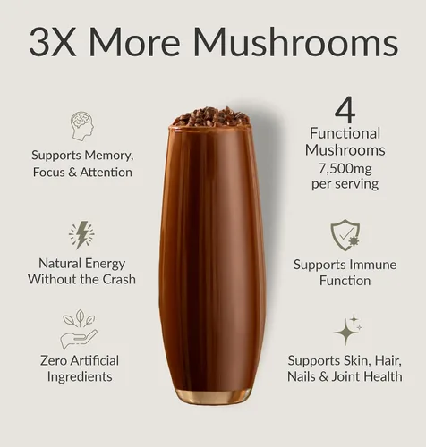 Miniatura 2 de BIOptimizers Café de Setas Alternativo – Bebida de Chocolate – Mane de León, Chaga, Reishi + Péptidos de Colágeno para Enfoque, Energía y Salud