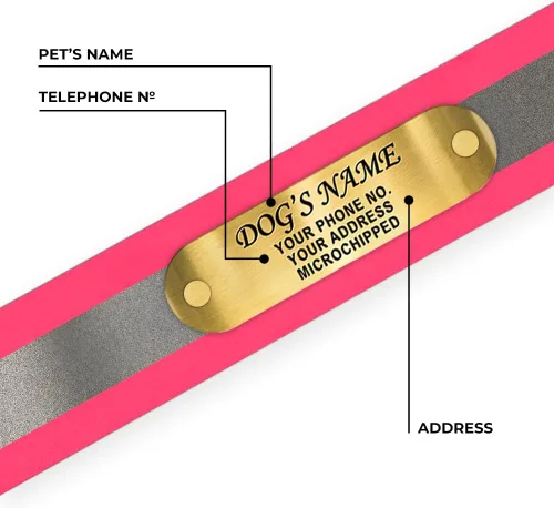 Miniatura 3 de Regal Dog Products Collar Reflectante para Perro con Placa de Nombre Grabada Personalizada Collares para Perro Personalizados de Biothane Rosa