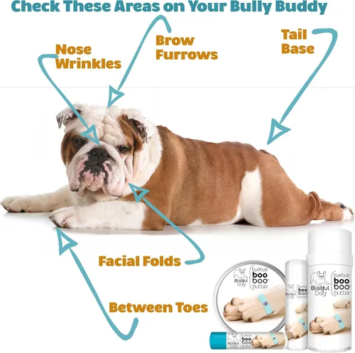 Miniatura 6 de The Blissful Dog Mantequilla Boo Boo para las molestias de tu perro, 2 onzas