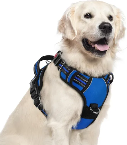 Miniatura 32 de rabbitgoo Arnés para perro de tamaño pequeño, chaleco para perro sin tirones con 3 hebillas, arnés ajustable y acolchado suave para mascotas con asa