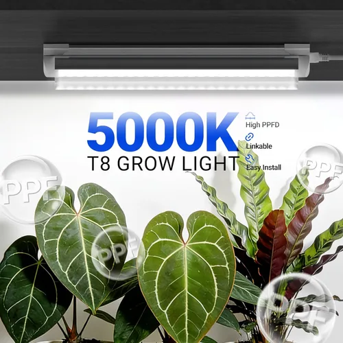 Miniatura 2 de Barrina Luces de cultivo T8 para plantas de interior, tira de luz blanca de espectro completo de 5000 K, 60 W (4 x 15 W), luz de planta de 1 pie