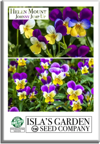 Helen Mount Johnny Jump Up - Semillas de flores de viola, más de 500 semillas por paquete, semillas de jardín de Isla (semillas de jardín de Isla),