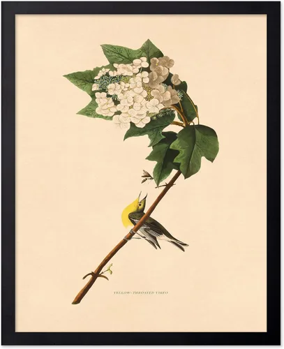 Miniatura 71 de Poster Master Póster Vintage de Plantas Cultivadas - Impresión Botánica Retro - Arte de Flores - Arte de Plantas - Regalo para Hombres y Mujeres