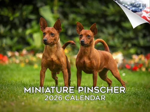 Miniatura 207 de Calendario 2025 2026 de cachorros Cocker Spaniel - Calendario mensual de pared de raza de perro - 12" x 24" abierto - Papel grueso sin sangrado