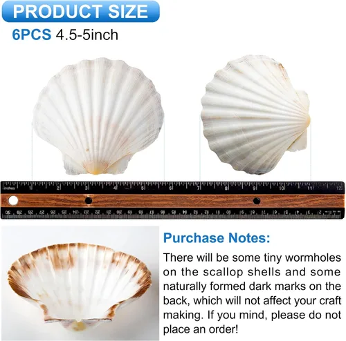 Miniatura 2 de QEQEKAKA 6 conchas de vieira grandes para hornear conchas marinas de 4.5 a 5 pulgadas para manualidades, conchas de vieira hawaianas blancas