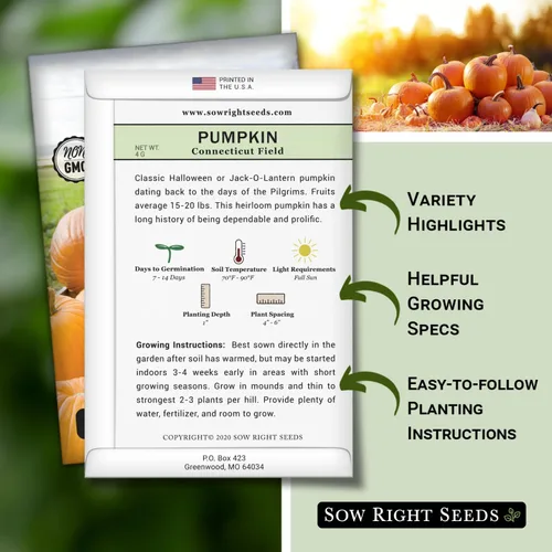 Miniatura 2 de Sow Right Seeds - Semillas de calabaza de campo de Connecticut para plantar - Paquete de reliquia sin OMG con instrucciones para plantar un huerto
