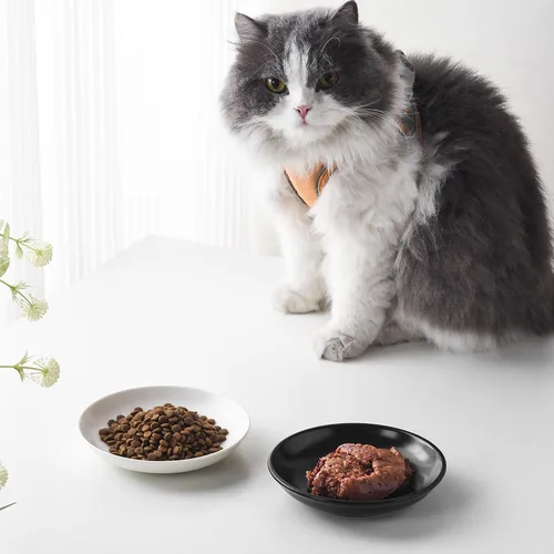 Miniatura 7 de Juego de 4 cuencos de cerámica para gatos – Paquete de 4 platos saludables y anchos para gatos poco profundos para comida y agua, cuencos antifatiga