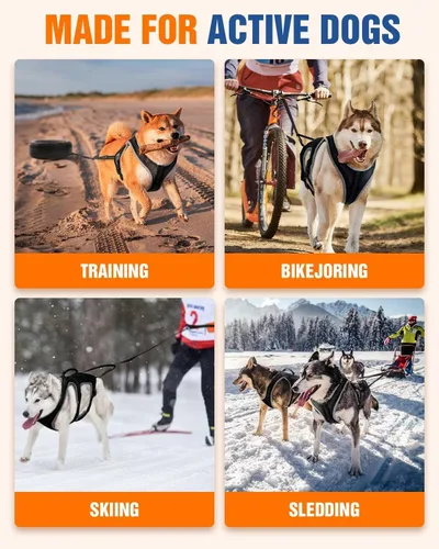 Miniatura 7 de Juego de arnés para correr para perros con cinturón y correa de absorción de golpes Hands-Free Control, Easy to Put On Design for Medium to Large