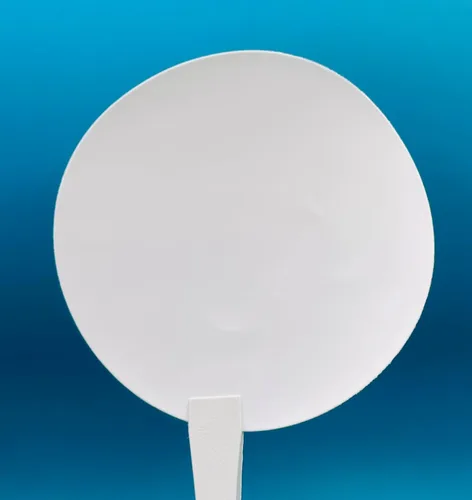 Omicron 131047 Borosilicato Fibra de Vidrio Filtro Libre, 1.0 Micrón, 1.850 in (100/Pk) (Similar a GF/B 1821-047) (OS-131047)