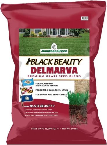 Miniatura 9 de Jonathan Green (10391) Black Beauty Delmarva - Semilla de césped (hecha para Maryland, Delaware, Virginia), semillas de césped de temporada fría
