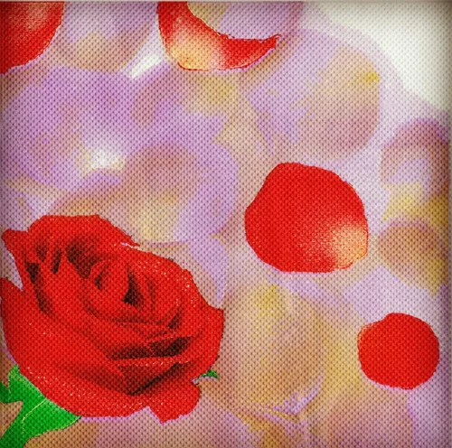 Miniatura 13 de Servilletas de papel florales, 40 servilletas de cóctel de 2 capas, 6.5 x 6.5 pulgadas plegadas/13 x 13 pulgadas desplegadas, servilletas