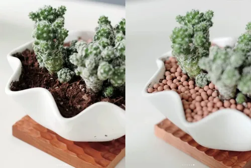 Miniatura 6 de 2.0 LB de piedras de arcilla de 1/8 pulg. Ceramsites de cultivo para jardinería, medio de cultivo para plantas suculentas y orquídeas, acuapónica
