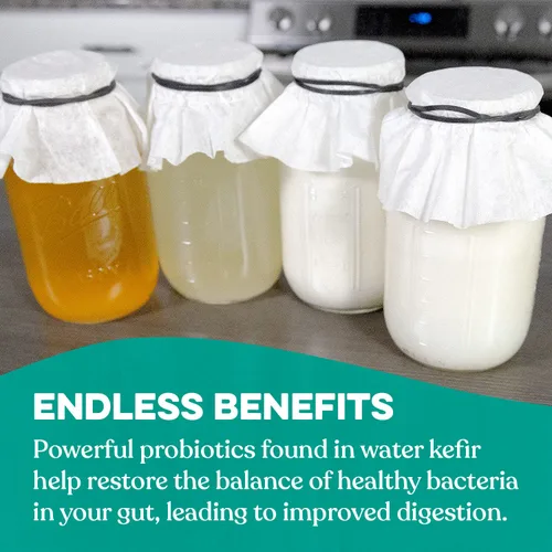 Miniatura 5 de Cultures for Health Cultivo iniciador de kéfir 4 paquetes de polvo de inicio liofilizado Haz kéfir con leche, agua o jugo Recultivo de bebidas