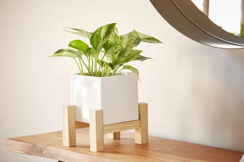 Miniatura 5 de Southern Patio Hemingway - Maceta cuadrada de cerámica para interiores con soporte de madera, color blanco