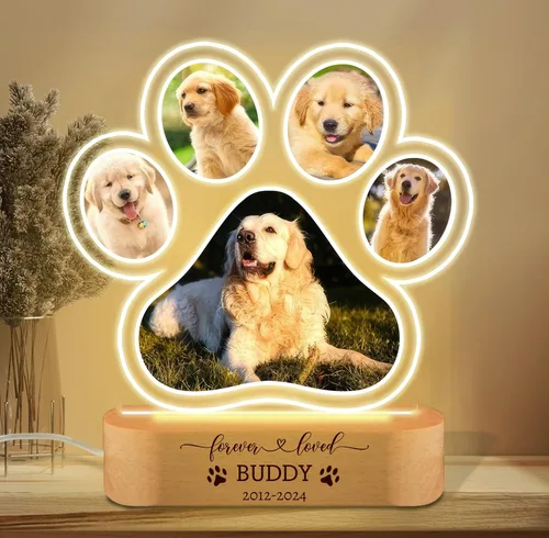 LOVELYPOD Luz nocturna personalizada con foto de perro, regalo conmemorativo para perros, placa conmemorativa para mascotas, regalo de foto