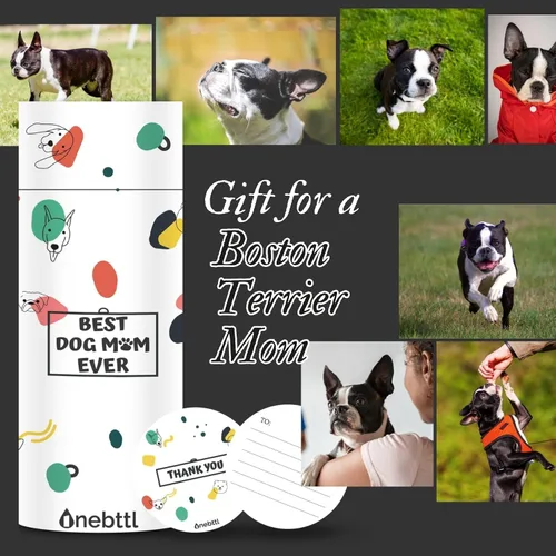 Miniatura 7 de Onebttl Boston Terrier - Regalos para mujeres, madres de perros, amantes de los perros, vaso delgado de 20 onzas con tapa y popote para Navidad