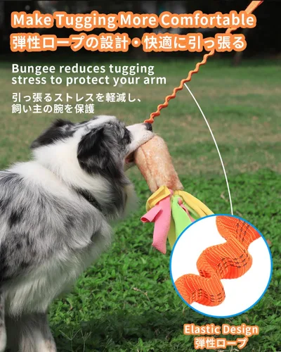 Miniatura 3 de SCHITEC Juguete de tira y afloja para perros, juguetes de cuerda elástica y tira y afloja con sonido chirriante para ejercicio