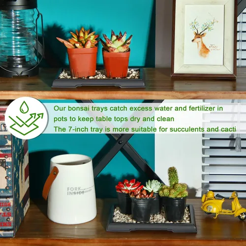 Miniatura 4 de Pinkunn 2 Piezas Bandeja de Humedad para Bonsái Bandeja de Goteo Plásticas Captador de Agua para Plantas Platillos para Interiores y Exteriores