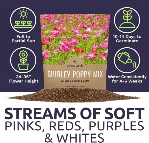 Miniatura 6 de Shirley - Semillas de amapola - Colores mezclados - Paquete extra grande - Más de 200,000 semillas de flores silvestres polinizadas abiertas sin OMG