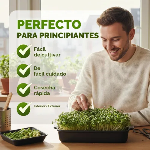 Miniatura 4 de Nature Jims Sprouts Mezcla de ensalada orgánica - Semillas microverdes sin OMG para el cultivo - Mezcla saludable de brotes de brócoli, alfalfa