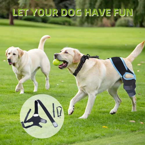 Miniatura 3 de Soporte de ACL para perro con 10 cadenas de apoyo mejoradas – Proporciona apoyo adicional para piernas traseras, lesiones de ACL y articulaciones