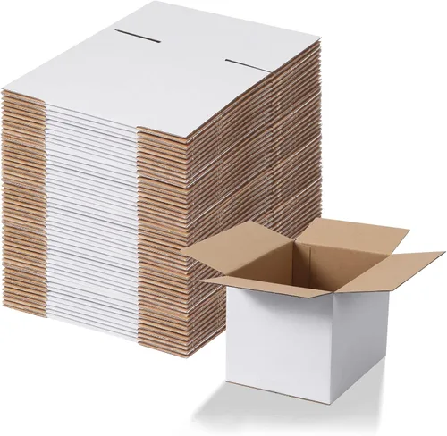 Calenzana Juego de 40 Cajas de Envío 8x6x6, Caja de Cartón Corrugado Blanco para Envío, Embalaje de Regalos, Pequeña Empresa
