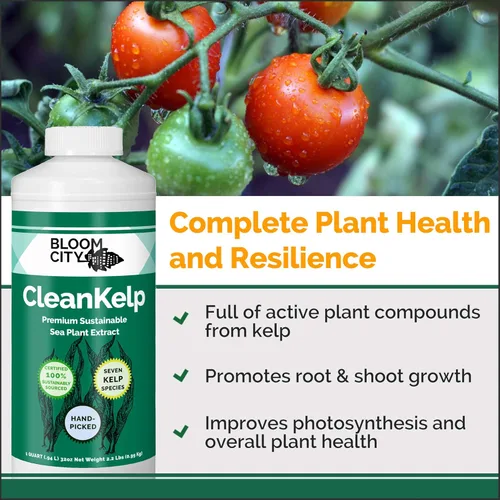 Miniatura 2 de Suplemento de fertilizante líquido orgánico de algas marinas y kelp de Bloom City, (8 oz) concentrado produce 45 galones