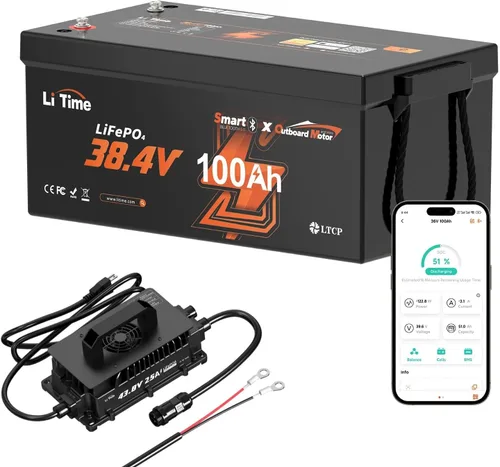 LiTime Batería LiFePO4 de 36V 100Ah OBM Bluetooth con Protección a Baja Temperatura con Cargador de 43.8V 25A, BMS Integrado de 100A, Batería de
