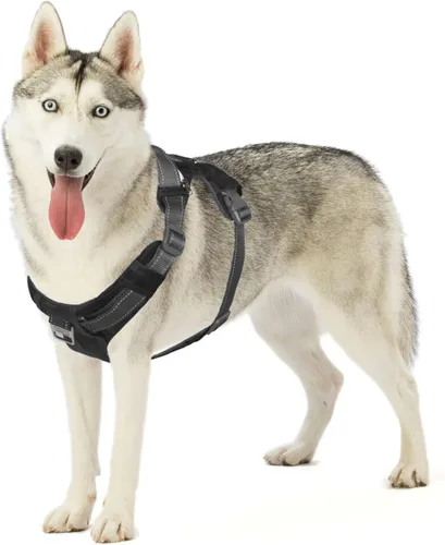 Miniatura 12 de Outward Hound Boulder Adventure - Arnés ajustable para perro con bolsillos, turquesa, mediano