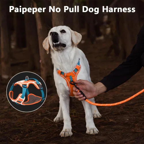 Miniatura 2 de Arnés para perro sin tirones, arcoíris a rayas vibrantes con detalles reflectantes, mediano, arcoíris