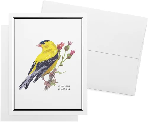 Miniatura 8 de Twigs Paper - Tarjetas de felicitación de aves americanas surtidas - Tarjetas de papelería con sobres, tarjeta de agradecimiento, tarjetas de notas