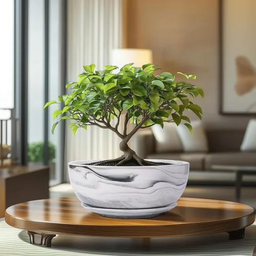 Miniatura 9 de G EPGardening Macetas Bonsai, Maceta de Cerámica de 8 Pulgadas con Patrón de Mármol y Orificio de Drenaje y Platillo para Plantas, Maceta Grande