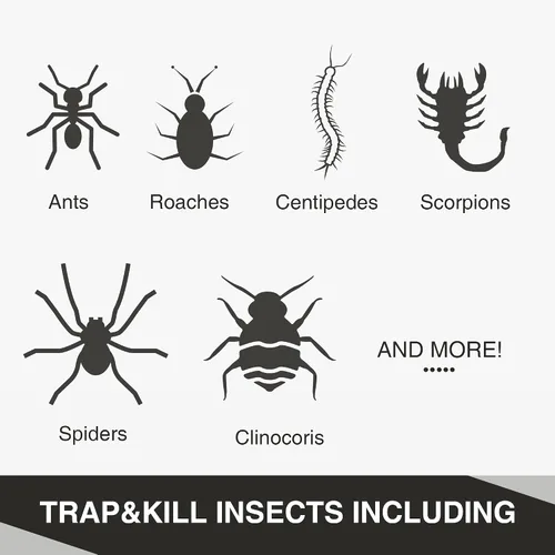 Miniatura 6 de Qualirey Trampas para hormigas para interiores, con aroma a mantequilla de maní mejorada, 10 piezas más grandes para hormigas, araña, ciempiés