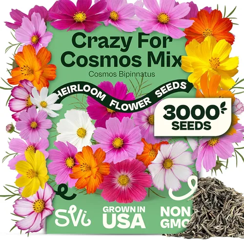 Miniatura 19 de Queen Anne 's Lace- 200 semillas – 50% de descuento venta