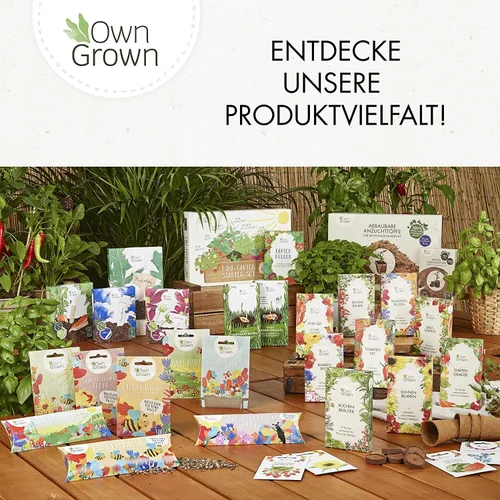 Miniatura 8 de OwnGrown Trampas adhesivas amarillas para moscas de interior – 60 piezas de control eficaz de mosquitos blancos y moscas de la fruta, papel adhesivo