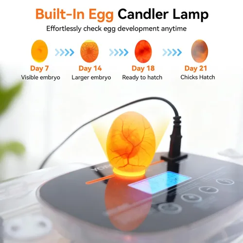 Miniatura 5 de Incubadoras para incubar huevos, incubadora de 24 huevos, girador automático de huevos con control de humedad y temperatura digital, día