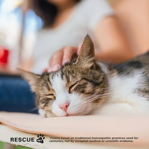 Miniatura 5 de Rescue Remedy Pet Dropper para gatos – 0.3 onzas líquidas – Soporte de estrés y tensión para gatos con esencias florales naturales de Bach – Fórmula