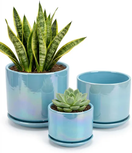 Miniatura 10 de Macetas de cerámica EFISPSS, macetas de interior de 4+5+6 pulgadas de cerámica para plantas con orificio de drenaje, para suculentas y cactus