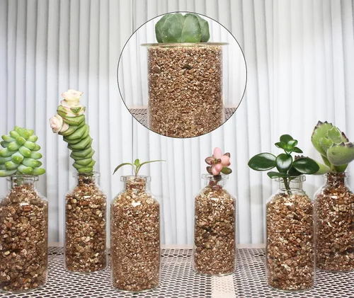 Miniatura 3 de Vermiculita orgánica de 2 cuartos de galón, vermiculita hortícola para plantas, aditivo de suelo para plantas en maceta, vermiculita gruesa