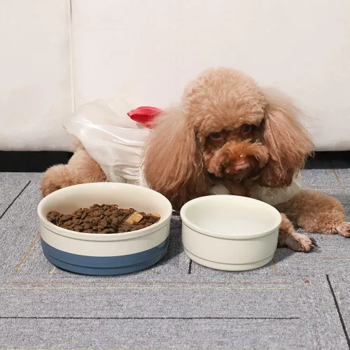 Miniatura 3 de Sweejar Cuencos de Cerámica para Perros, Plato de Comida para Perros Pequeños y Gatos, Cuenco de Porcelana Resistente para Mascotas para Comida