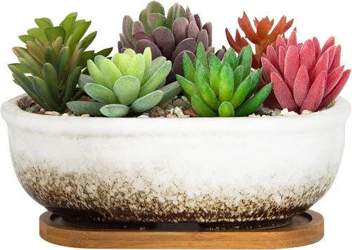 Miniatura 11 de Macetas para suculentas, macetas rectangulares de 7.9 pulgadas de largo con bandeja de drenaje, macetas poco profundas para plantas