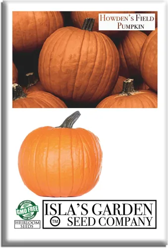 Howden - Semillas de calabaza de campo para plantar, más de 20 semillas tradicionales por paquete, semillas de jardín de Isla (semillas de jardín de