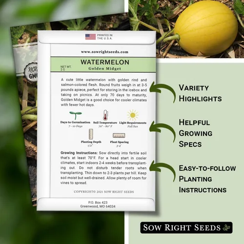 Miniatura 2 de Sow Right Seeds - Semilla de sandía Golden Midget para plantar - Paquete de reliquia sin OMG con instrucciones para plantar y cultivar un huerto