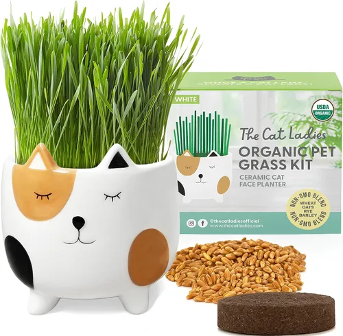 Miniatura 9 de The Cat Ladies Hierba orgánica para gatos de interior - Kit de cultivo con mezcla de semillas orgánicas, tierra y maceta para gatos blancos. Control