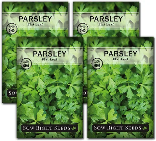 Miniatura 9 de Sow Right Seeds - Semilla de perejil de hoja plana para plantar - Paquete de reliquia sin OMG con instrucciones para plantar y cultivar un jardín